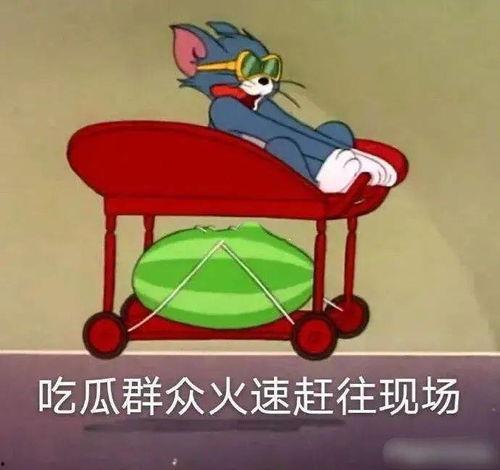 吃瓜的哥哥们,揭秘娱乐圈幕后故事