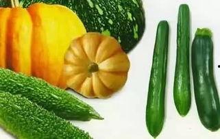 聊城吃瓜事件详情,一场网络舆论的风暴与反思