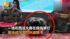吃瓜老王最新视频,带你领略幕后真相与趣味瞬间